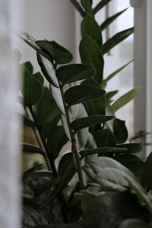 resized_113341